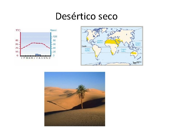 Desértico seco 