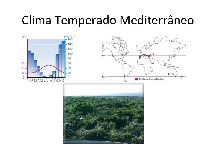 Clima Temperado Mediterrâneo 