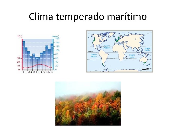 Clima temperado marítimo 