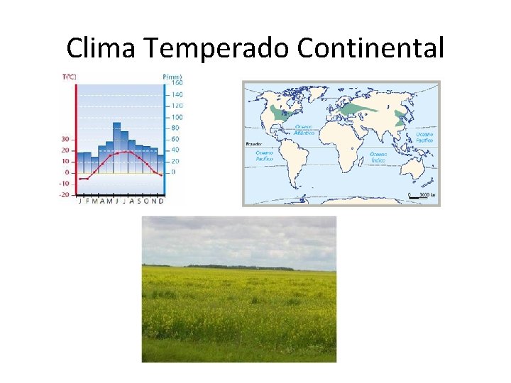 Clima Temperado Continental 