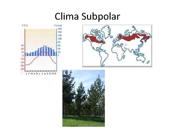Clima Subpolar 
