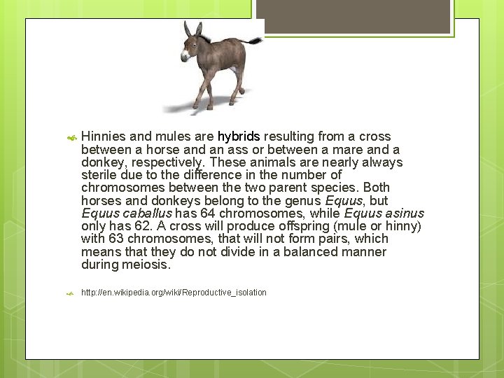  Hinnies and mules are hybrids resulting from a cross between a horse and