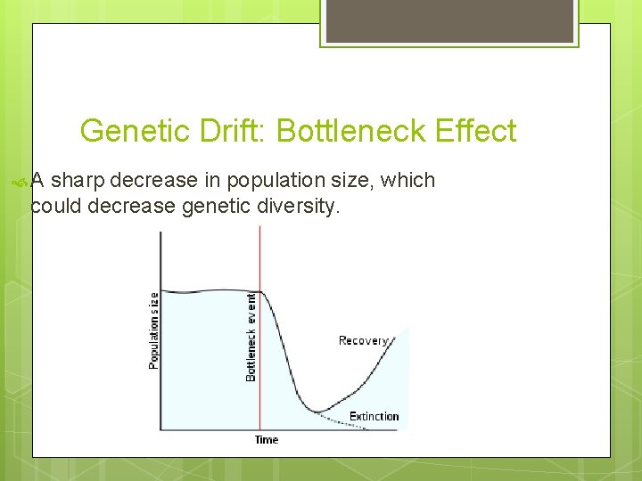 Genetic Drift: Bottleneck Effect A sharp decrease in population size, which could decrease genetic