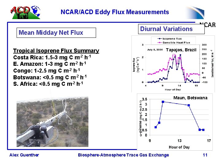 NCAR/ACD Eddy Flux Measurements Mean Midday Net Flux Tropical Isoprene Flux Summary Costa Rica: