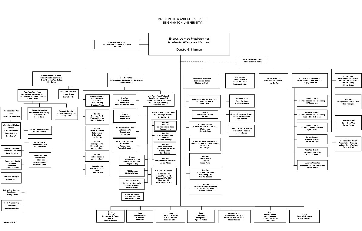 DIVISION OF ACADEMIC AFFAIRS BINGHAMTON UNIVERSITY Executive Vice President for Academic Affairs and Provost