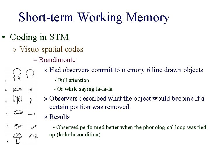 Short-term Working Memory • Coding in STM » Visuo-spatial codes – Brandimonte » Had