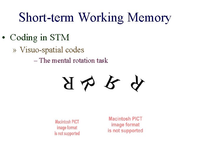 Short-term Working Memory • Coding in STM » Visuo-spatial codes – The mental rotation