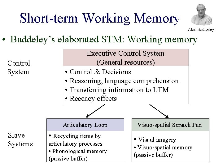 Short-term Working Memory Alan Baddeley • Baddeley’s elaborated STM: Working memory Control System Executive