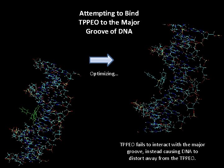 Attempting to Bind TPPEO to the Major Groove of DNA Optimizing… TPPEO fails to