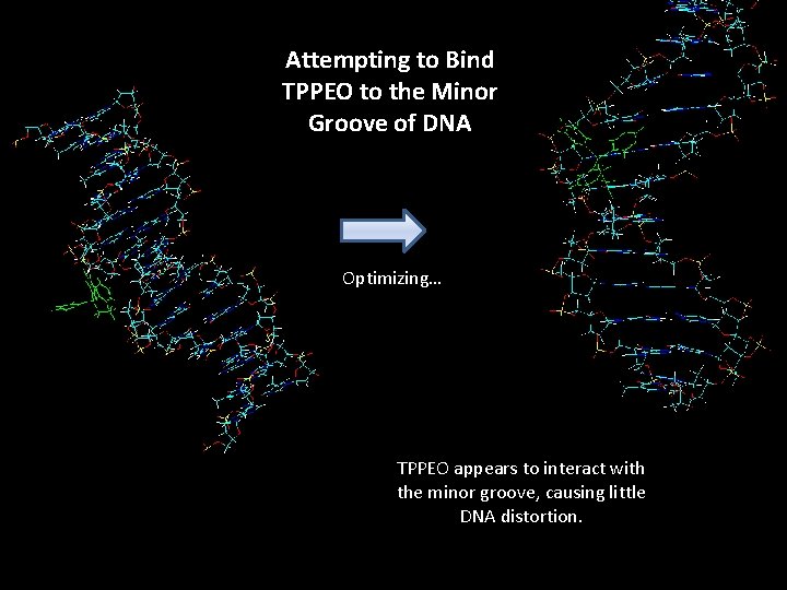 Attempting to Bind TPPEO to the Minor Groove of DNA Optimizing… TPPEO appears to