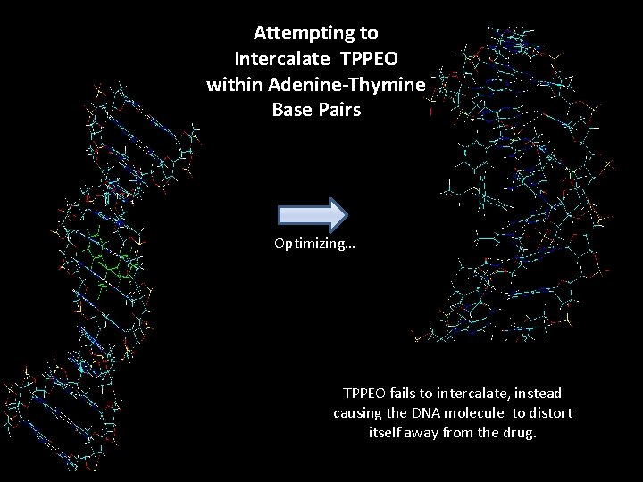 Attempting to Intercalate TPPEO within Adenine-Thymine Base Pairs Optimizing… TPPEO fails to intercalate, instead