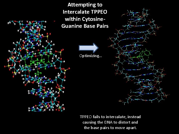 Attempting to Intercalate TPPEO within Cytosine. Guanine Base Pairs Optimizing… TPPEO fails to intercalate,