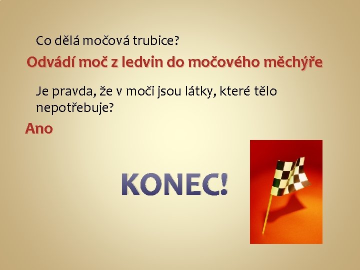 Co dělá močová trubice? Odvádí moč z ledvin do močového měchýře Je pravda, že