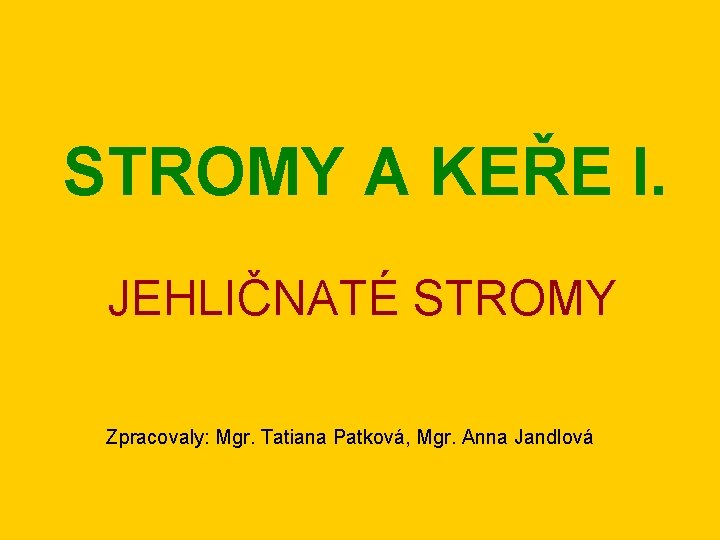 STROMY A KEŘE I. JEHLIČNATÉ STROMY Zpracovaly: Mgr. Tatiana Patková, Mgr. Anna Jandlová 