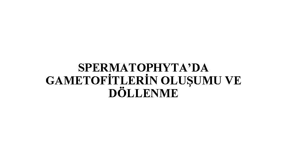 SPERMATOPHYTA’DA GAMETOFİTLERİN OLUŞUMU VE DÖLLENME 