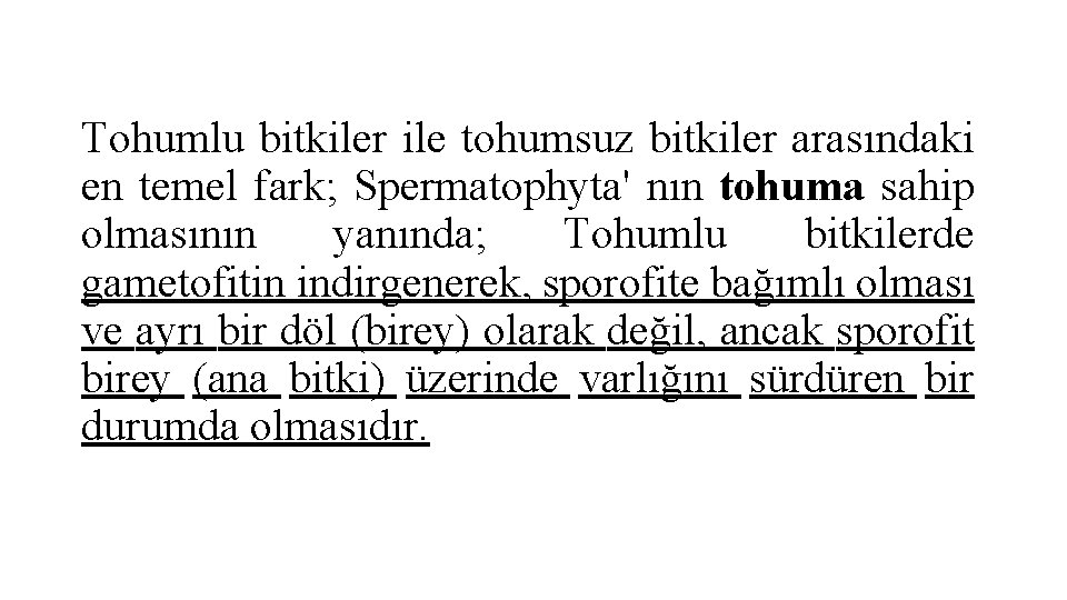 Tohumlu bitkiler ile tohumsuz bitkiler arasındaki en temel fark; Spermatophyta' nın tohuma sahip olmasının