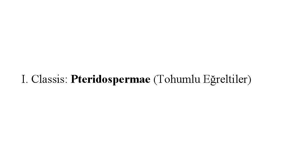 I. Classis: Pteridospermae (Tohumlu Eğreltiler) 