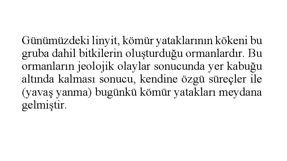 Günümüzdeki linyit, kömür yataklarının kökeni bu gruba dahil bitkilerin oluşturduğu ormanlardır. Bu ormanların jeolojik