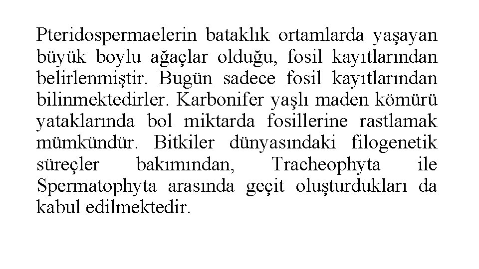 Pteridospermaelerin bataklık ortamlarda yaşayan büyük boylu ağaçlar olduğu, fosil kayıtlarından belirlenmiştir. Bugün sadece fosil