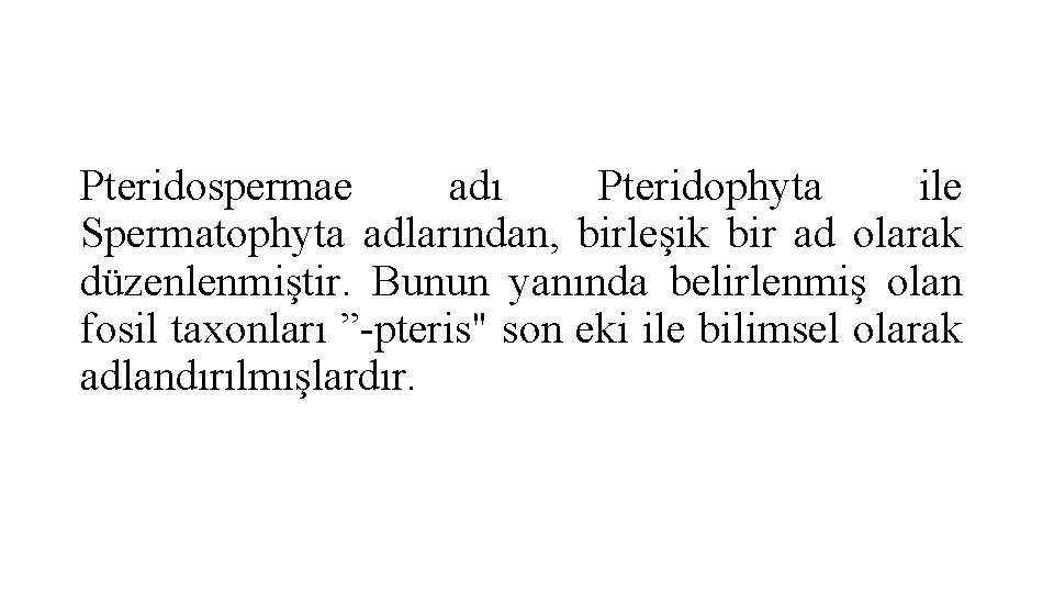 Pteridospermae adı Pteridophyta ile Spermatophyta adlarından, birleşik bir ad olarak düzenlenmiştir. Bunun yanında belirlenmiş