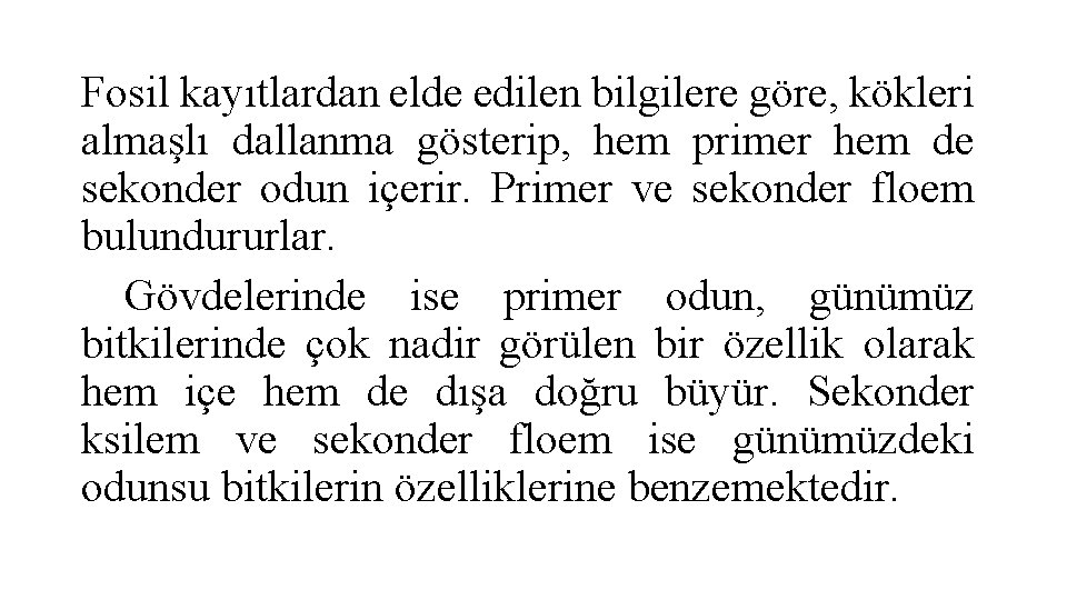 Fosil kayıtlardan elde edilen bilgilere göre, kökleri almaşlı dallanma gösterip, hem primer hem de