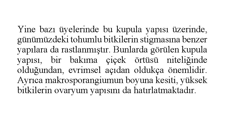 Yine bazı üyelerinde bu kupula yapısı üzerinde, günümüzdeki tohumlu bitkilerin stigmasına benzer yapılara da