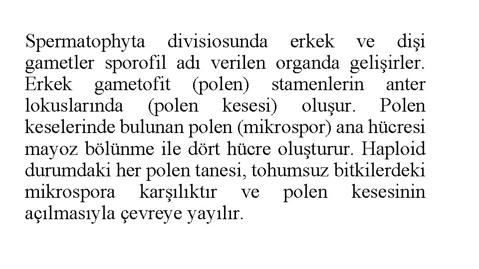 Spermatophyta divisiosunda erkek ve dişi gametler sporofil adı verilen organda gelişirler. Erkek gametofit (polen)