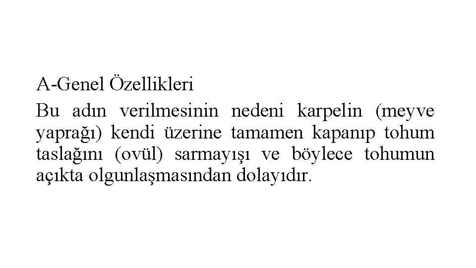 A-Genel Özellikleri Bu adın verilmesinin nedeni karpelin (meyve yaprağı) kendi üzerine tamamen kapanıp tohum