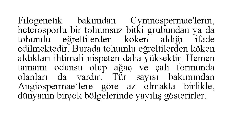 Filogenetik bakımdan Gymnospermae'lerin, heterosporlu bir tohumsuz bitki grubundan ya da tohumlu eğreltilerden köken aldığı