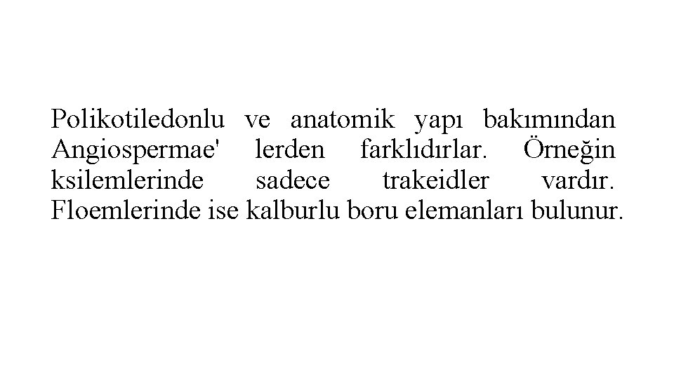 Polikotiledonlu ve anatomik yapı bakımından Angiospermae' lerden farklıdırlar. Örneğin ksilemlerinde sadece trakeidler vardır. Floemlerinde