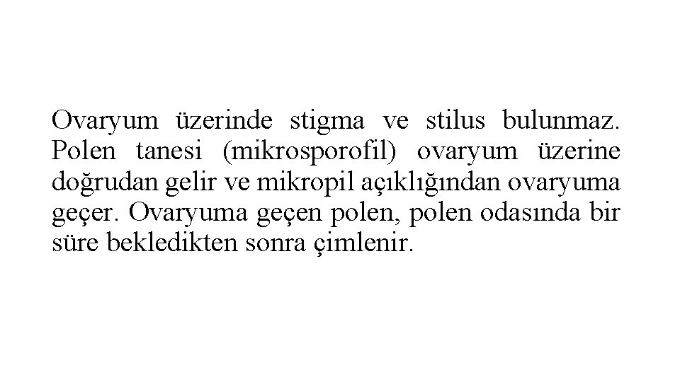 Ovaryum üzerinde stigma ve stilus bulunmaz. Polen tanesi (mikrosporofil) ovaryum üzerine doğrudan gelir ve