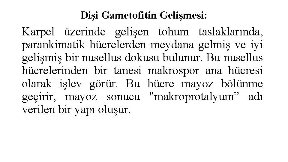 Dişi Gametofitin Gelişmesi: Karpel üzerinde gelişen tohum taslaklarında, parankimatik hücrelerden meydana gelmiş ve iyi