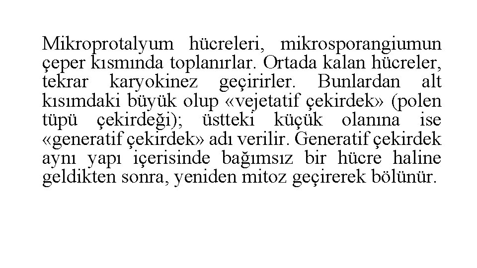 Mikroprotalyum hücreleri, mikrosporangiumun çeper kısmında toplanırlar. Ortada kalan hücreler, tekrar karyokinez geçirirler. Bunlardan alt