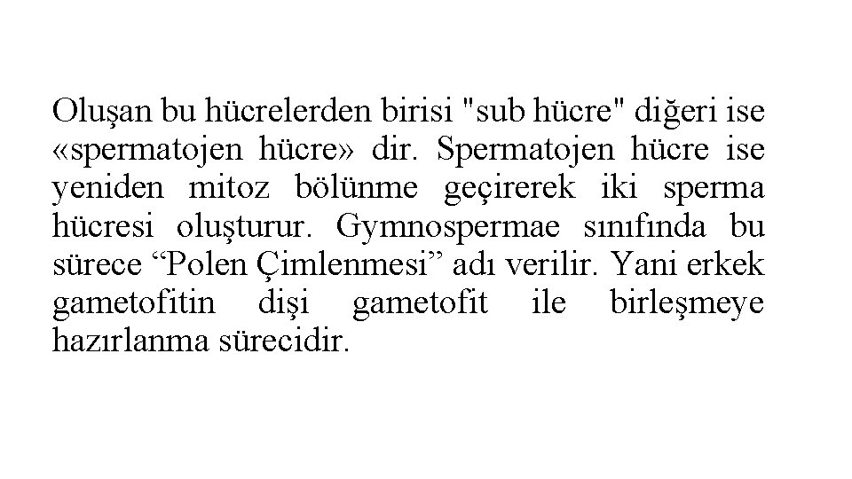 Oluşan bu hücrelerden birisi "sub hücre" diğeri ise «spermatojen hücre» dir. Spermatojen hücre ise