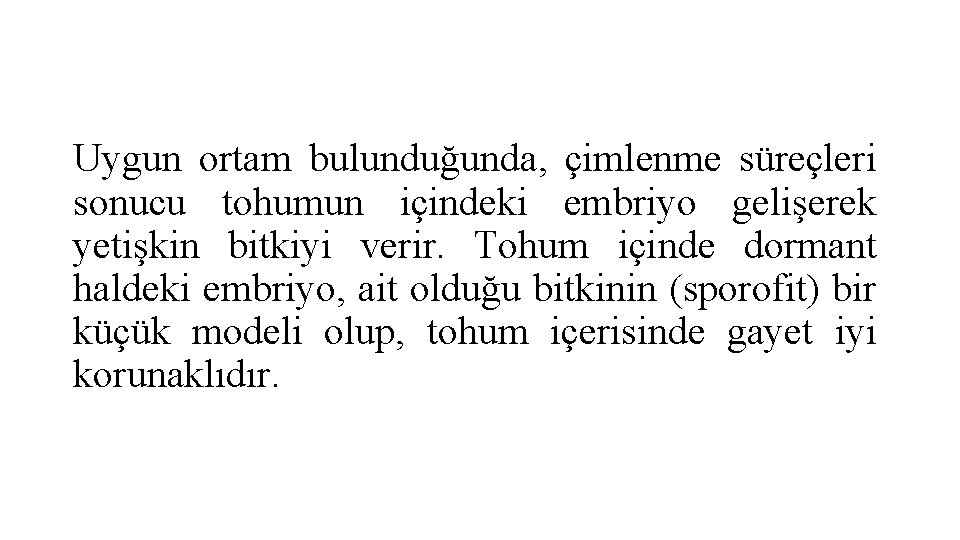 Uygun ortam bulunduğunda, çimlenme süreçleri sonucu tohumun içindeki embriyo gelişerek yetişkin bitkiyi verir. Tohum