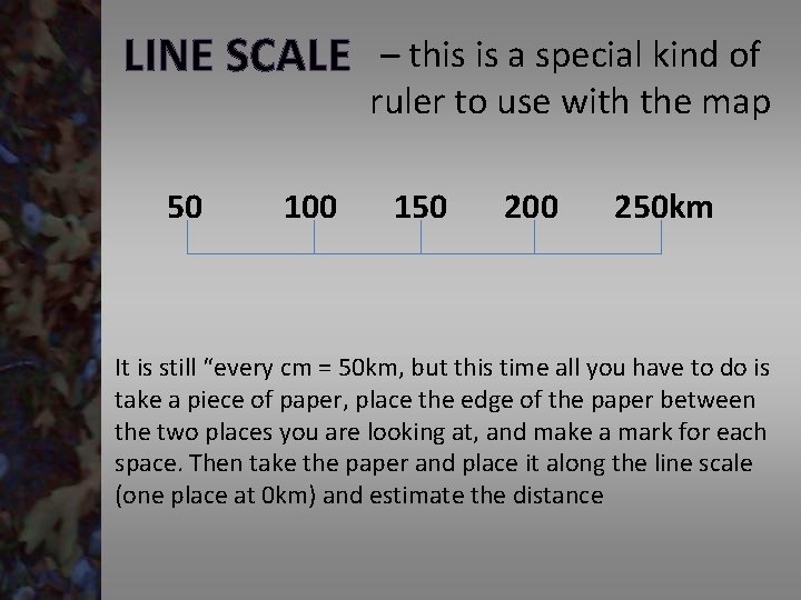 LINE SCALE 50 100 – this is a special kind of ruler to use