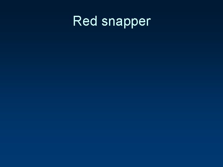 Red snapper 