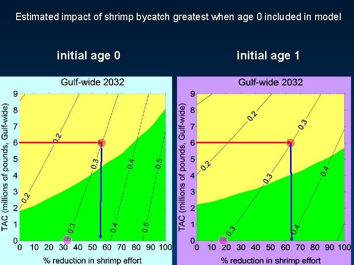 Estimated impact of shrimp bycatch greatest when age 0 included in model initial age