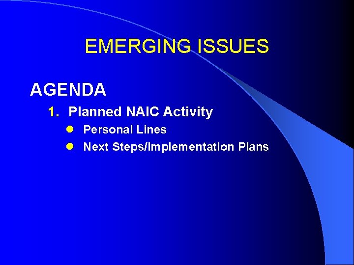 EMERGING ISSUES AGENDA 1. Planned NAIC Activity l Personal Lines l Next Steps/Implementation Plans