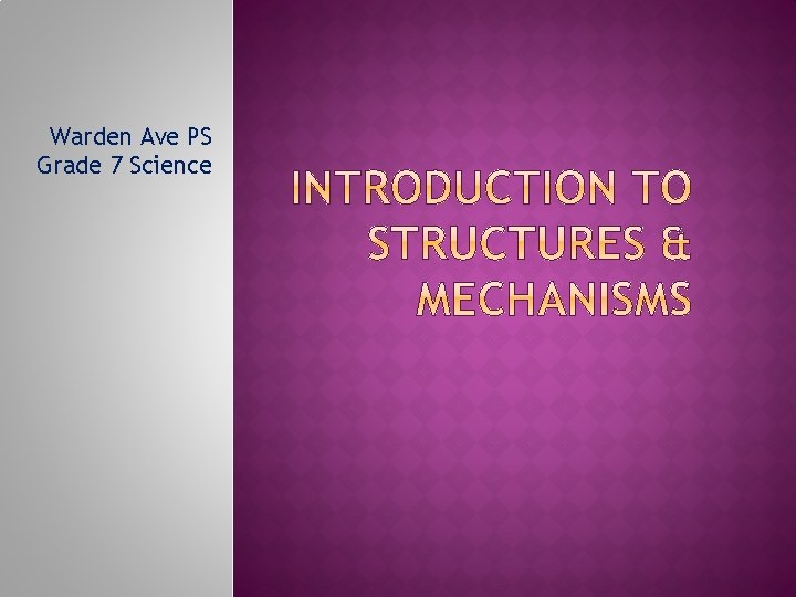 Warden Ave PS Grade 7 Science 