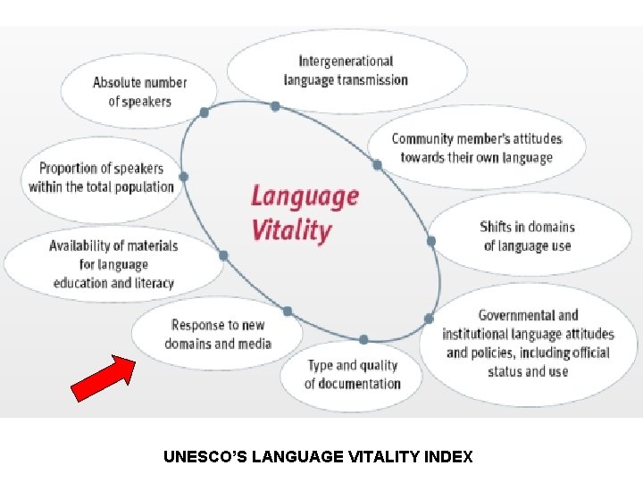 UNESCO’S LANGUAGE VITALITY INDEX 