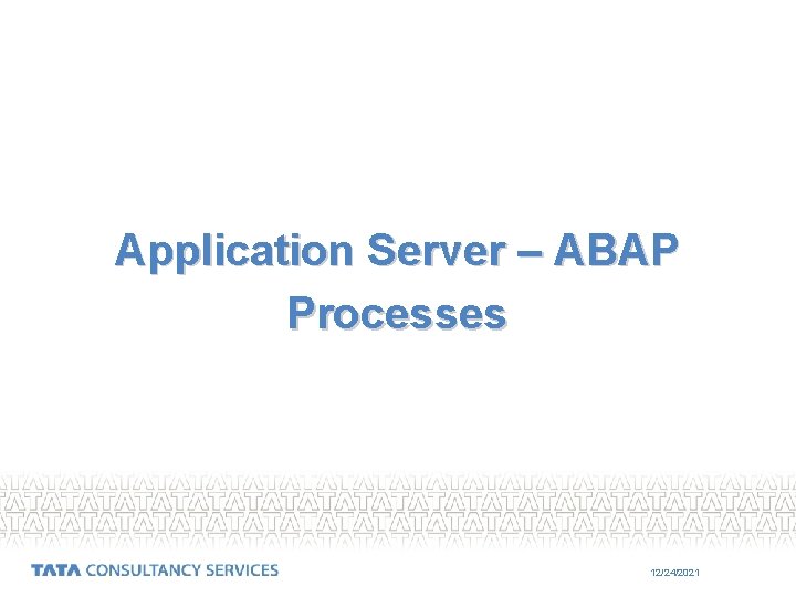 Application Server – ABAP Processes 12/24/2021 