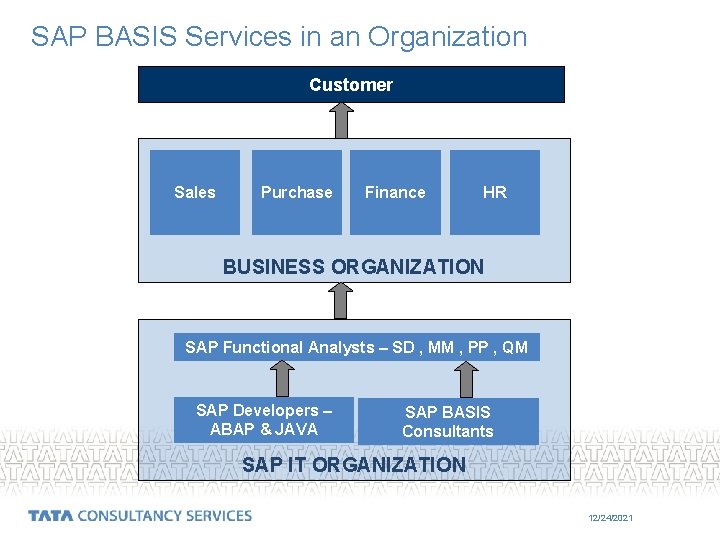 SAP BASIS Services in an Organization Customer Sales Purchase Finance HR BUSINESS ORGANIZATION SAP
