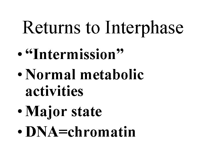 Returns to Interphase • “Intermission” • Normal metabolic activities • Major state • DNA=chromatin