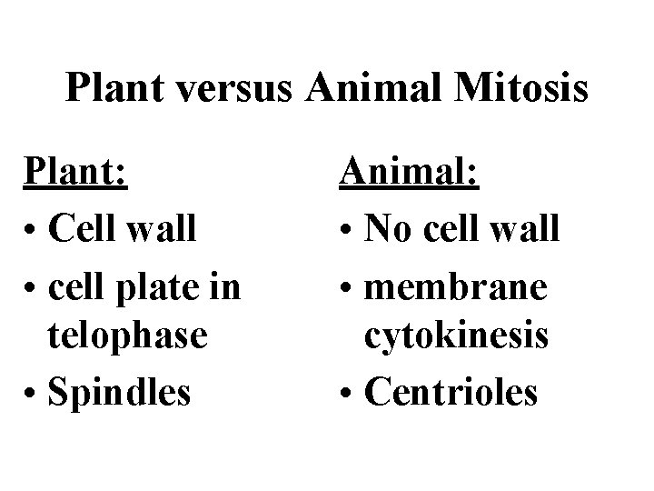 Plant versus Animal Mitosis Plant: • Cell wall • cell plate in telophase •