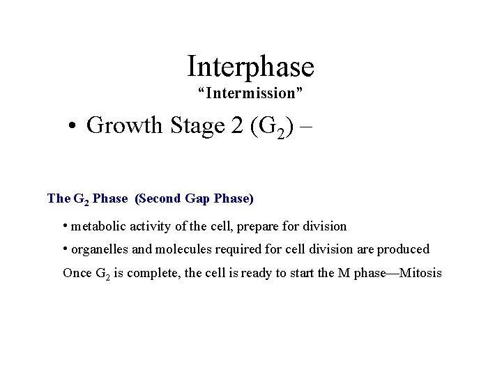 Interphase “Intermission” • Growth Stage 2 (G 2) – The G 2 Phase (Second