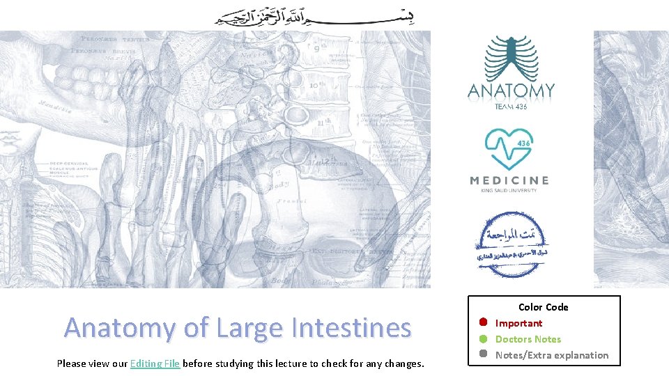 Anatomy of Large Intestines Please view our Editing File before studying this lecture to