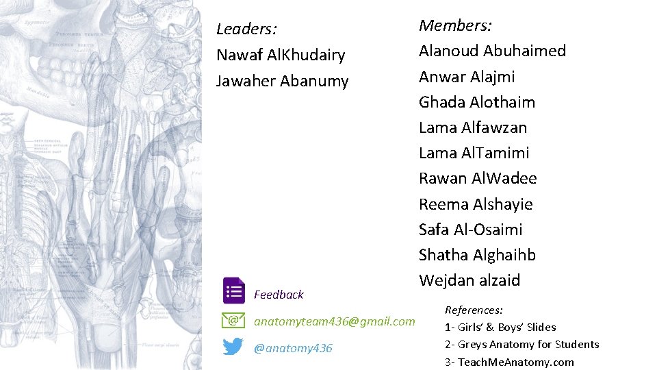 Leaders: Nawaf Al. Khudairy Jawaher Abanumy Feedback anatomyteam 436@gmail. com @anatomy 436 Members: Alanoud