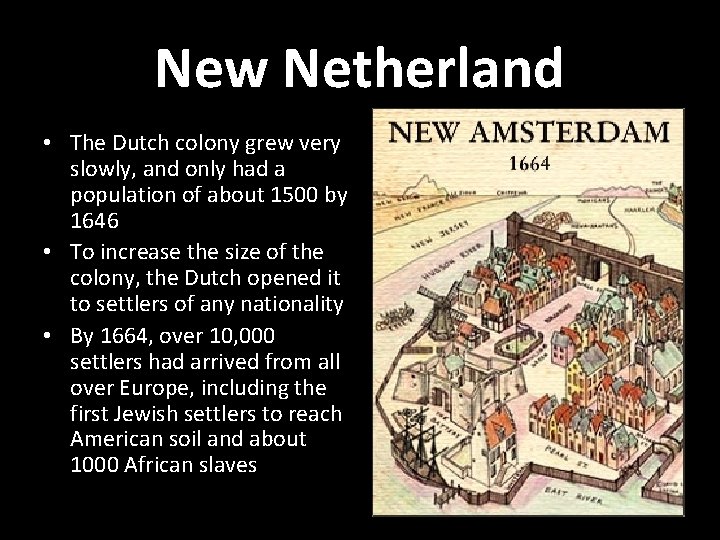 New Netherland • The Dutch colony grew very slowly, and only had a population