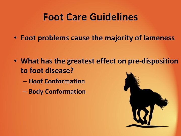 Foot Care Guidelines • Foot problems cause the majority of lameness • What has